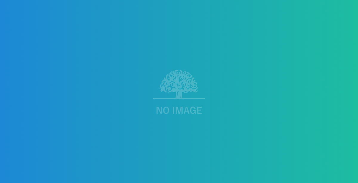 訪問リハビリテーション　ジャンボ緑風会