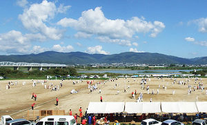 サムネイル写真