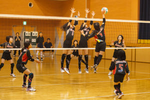 サムネイル写真