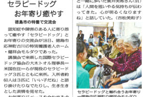 サムネイル写真