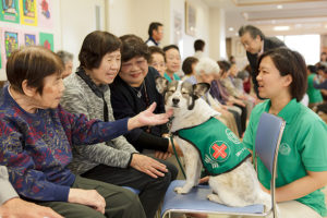 サムネイル写真