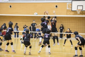 サムネイル写真