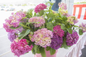 サムネイル写真