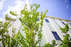 サムネイル写真