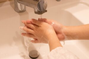 サムネイル写真