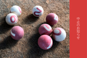 サムネイル写真