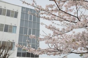 サムネイル写真